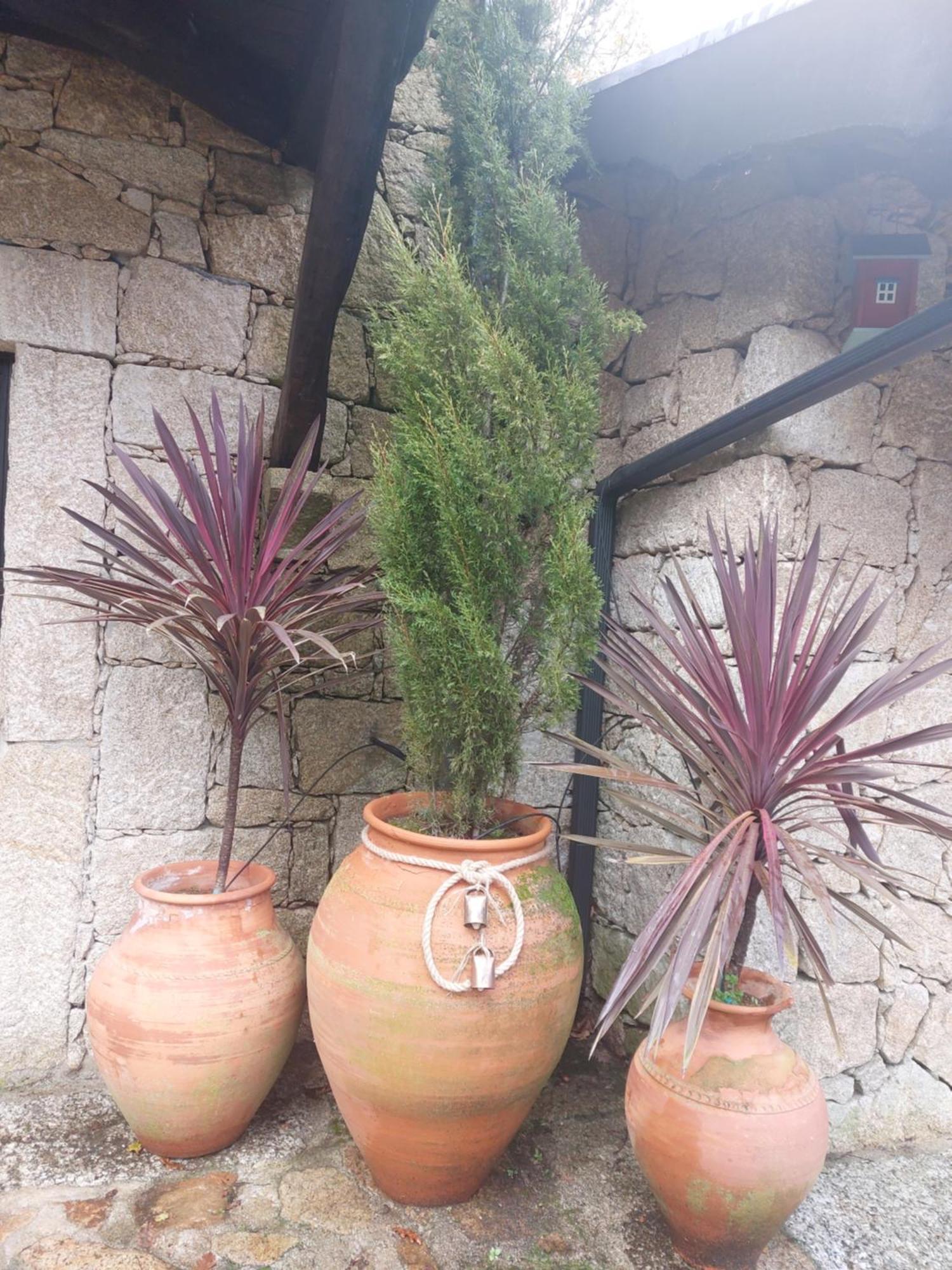Quinta Do Caneiro Gerês Exterior foto